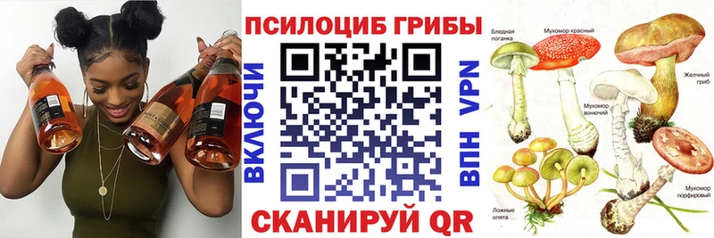 ссылка на мегу зеркало  Грязи  Галлюциногенные грибы Magic Shrooms 