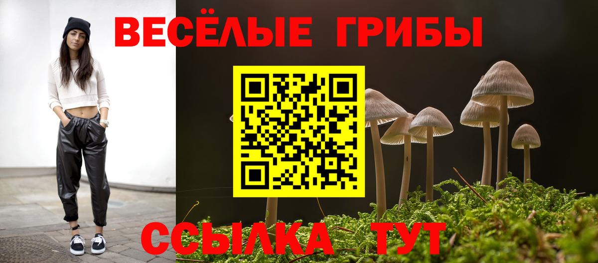 Галлюциногенные грибы MAGIC MUSHROOMS  Вход с VPN  Галлюциногенные грибы мухоморы  Грязи 
